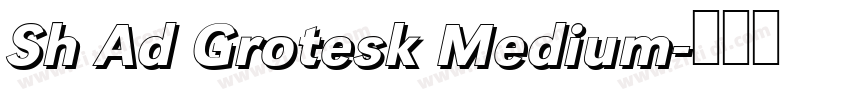 Sh Ad Grotesk Medium字体转换